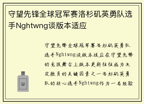 守望先锋全球冠军赛洛杉矶英勇队选手Nghtwng谈版本适应