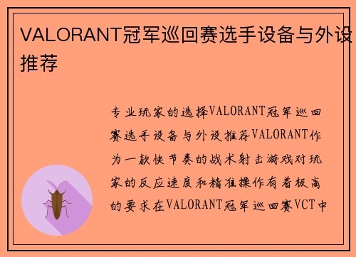 VALORANT冠军巡回赛选手设备与外设推荐